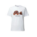 Playera premium Palm Angels OSO sin cabeza en color gris, con diseño gráfico en el frente, vista frontal.